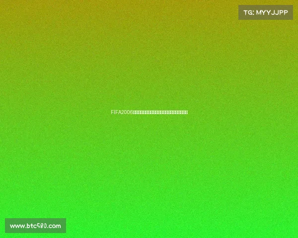 FIFA2006小易世界杯补丁高清全新升级真实赛场沉浸体验版
